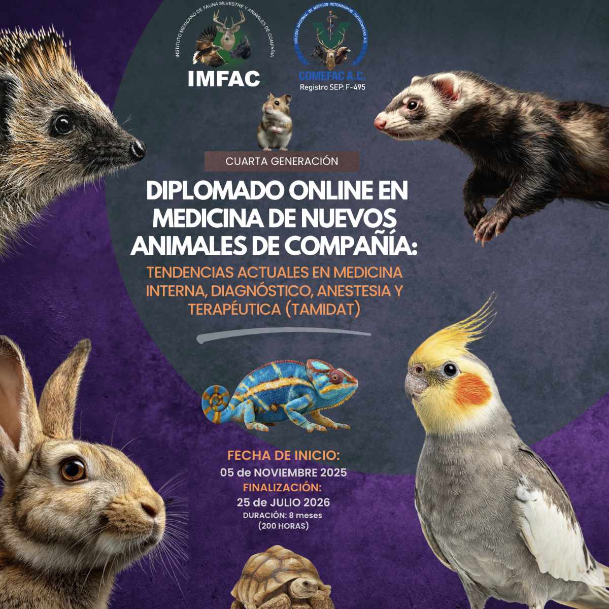 DIPLOMADO ONLINE EN MEDICINA DE NUEVOS ANIMALES DE COMPAÑÍA: TENDENCIAS ACTUALES EN MEDICINA INTERNA, DIAGNÓSTICO, ANESTESIA Y TERAPÉUTICA (TAMIDAT) 4ta generación
