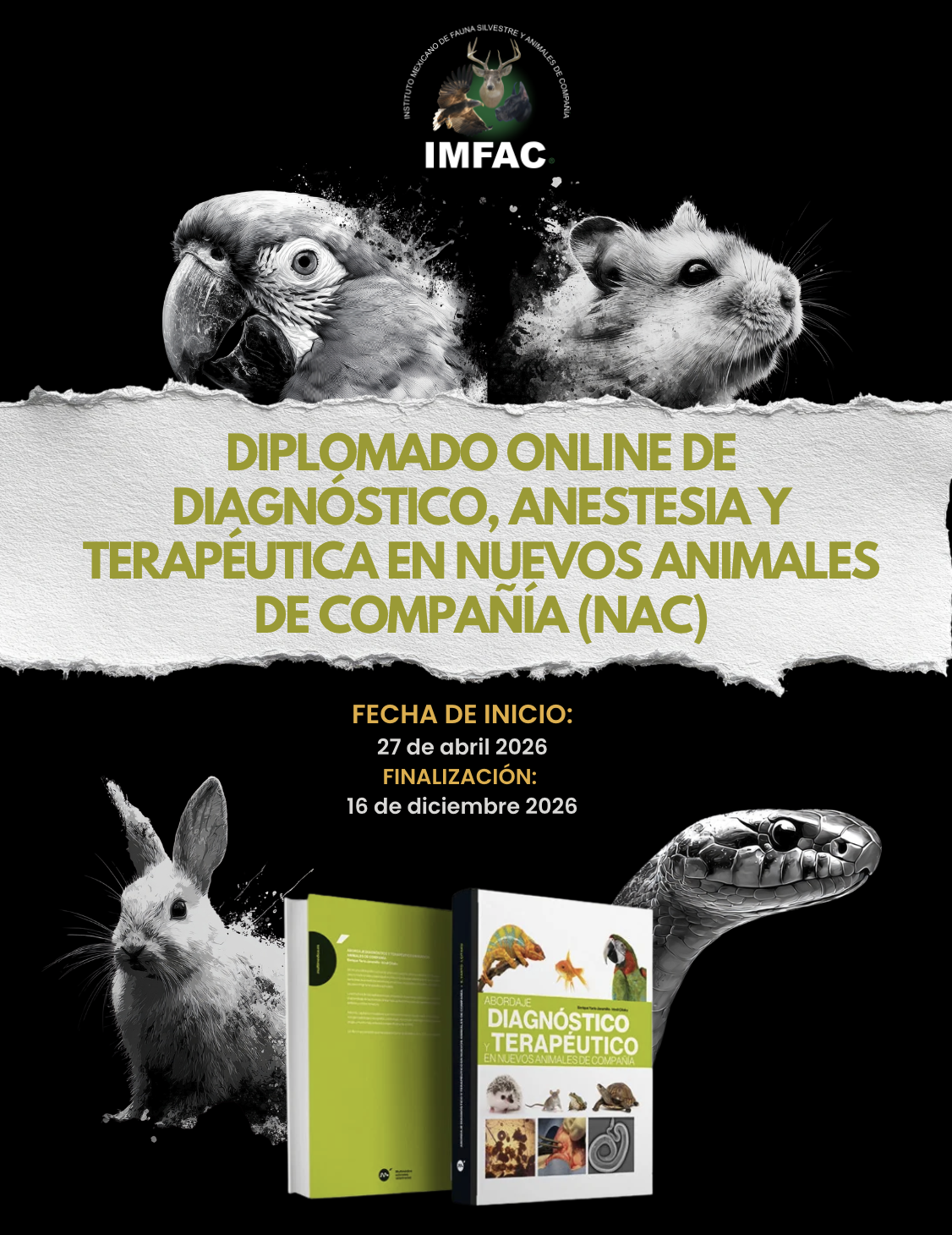 DIPLOMADO ONLINE DE DIAGNÓSTICO, ANESTESIA Y TERAPÉUTICA EN NUEVOS ANIMALES DE COMPAÑÍA (NAC)