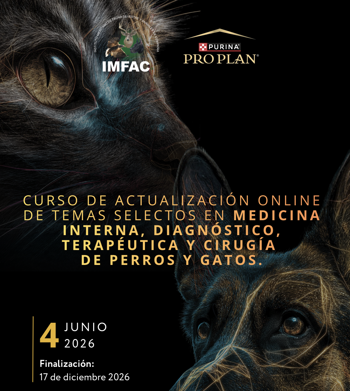 CURSO DE ACTUALIZACIÓN ONLINE DE TEMAS SELECTOS EN MEDICINA INTERNA, DIAGNÓSTICO, TERAPÉUTICA Y CIRUGÍA  DE PERROS Y GATOS.