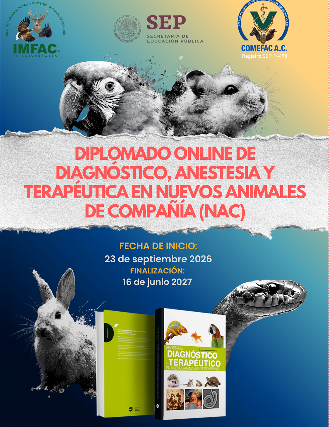  DIPLOMADO ONLINE DE DIAGNÓSTICO, ANESTESIA Y TERAPÉUTICA EN NUEVOS ANIMALES DE COMPAÑÍA (NAC2)