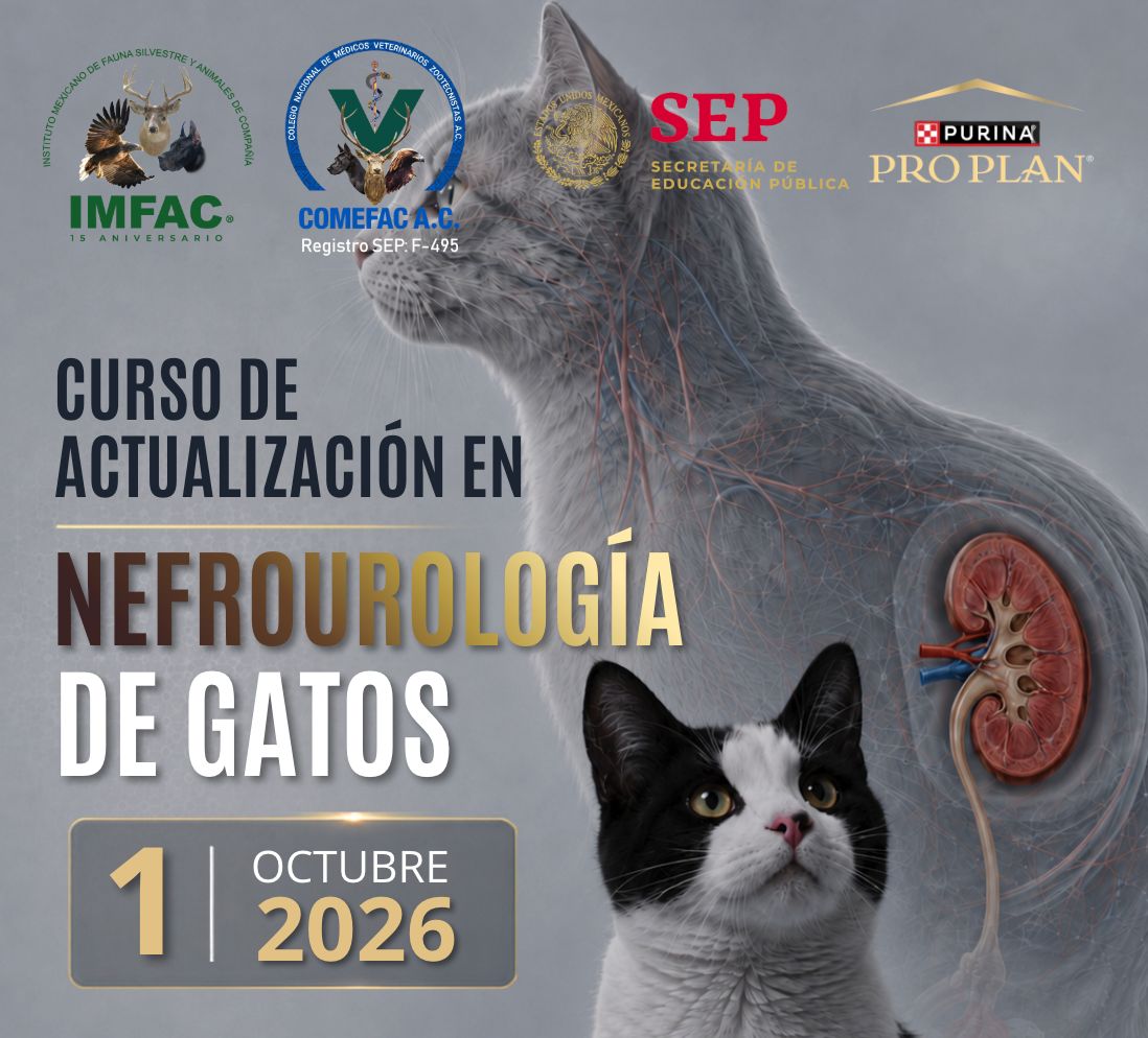 CURSO DE ACTUALIZACIÓN EN NEFROUROLOGÍA EN GATOS